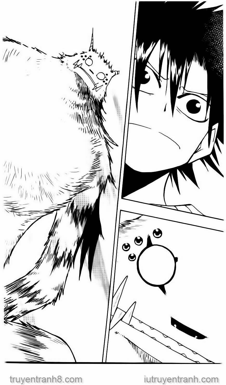 law-of-ueki/14