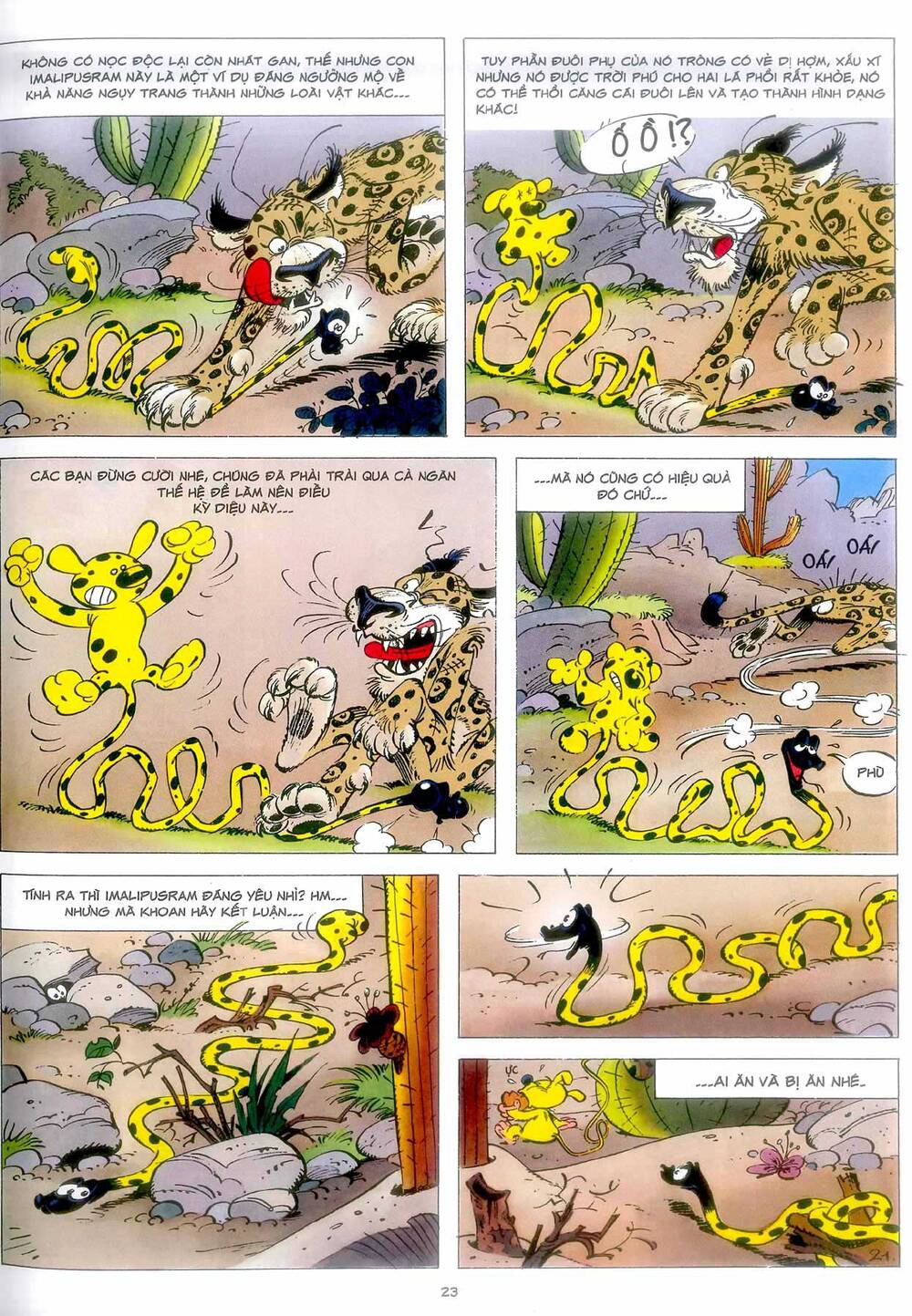 marsupilami/21