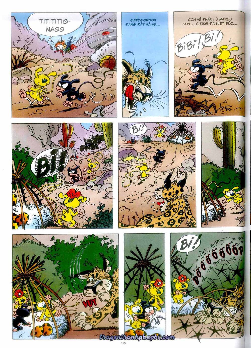 marsupilami/34