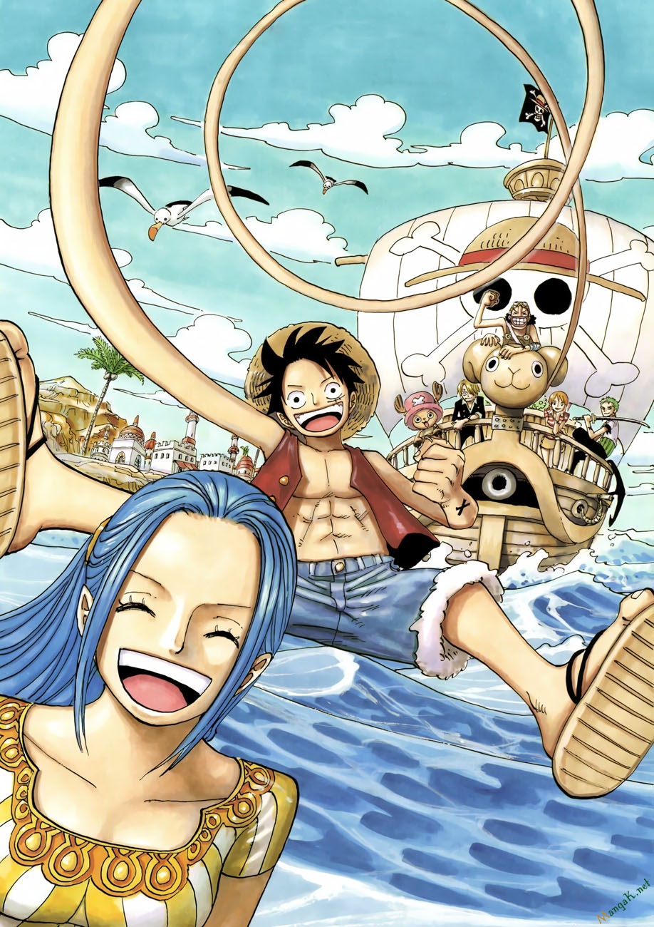 one-piece/17