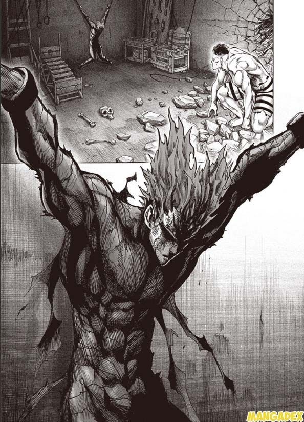 onepunch-man/2