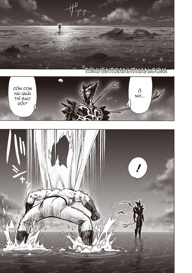 onepunch-man/24