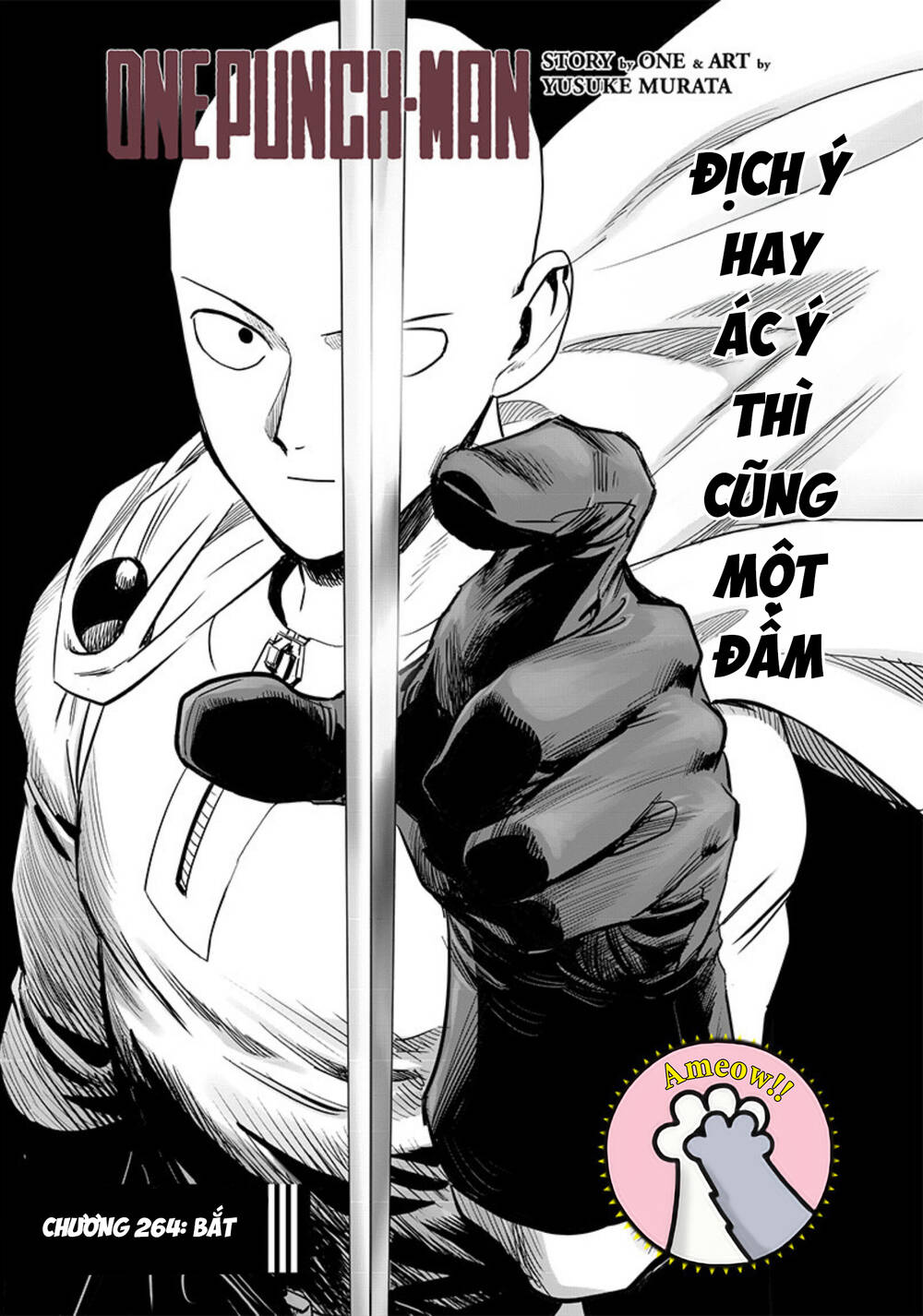 onepunch-man/2