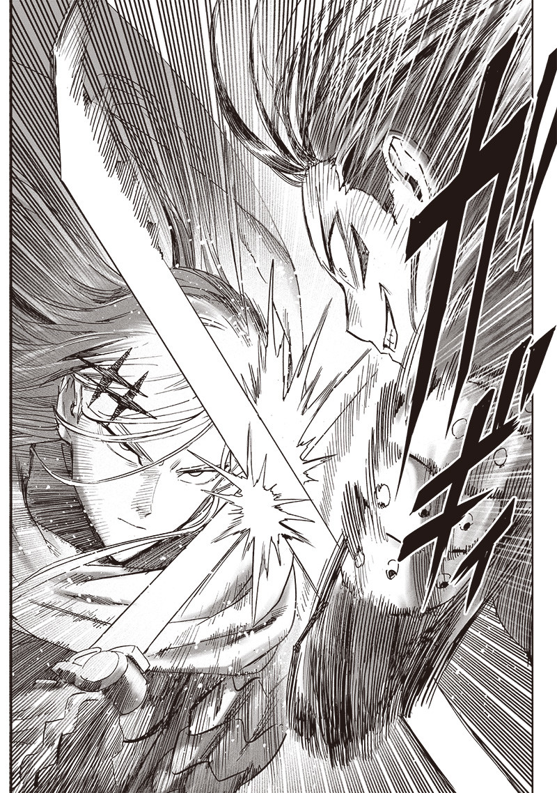 onepunch-man/8