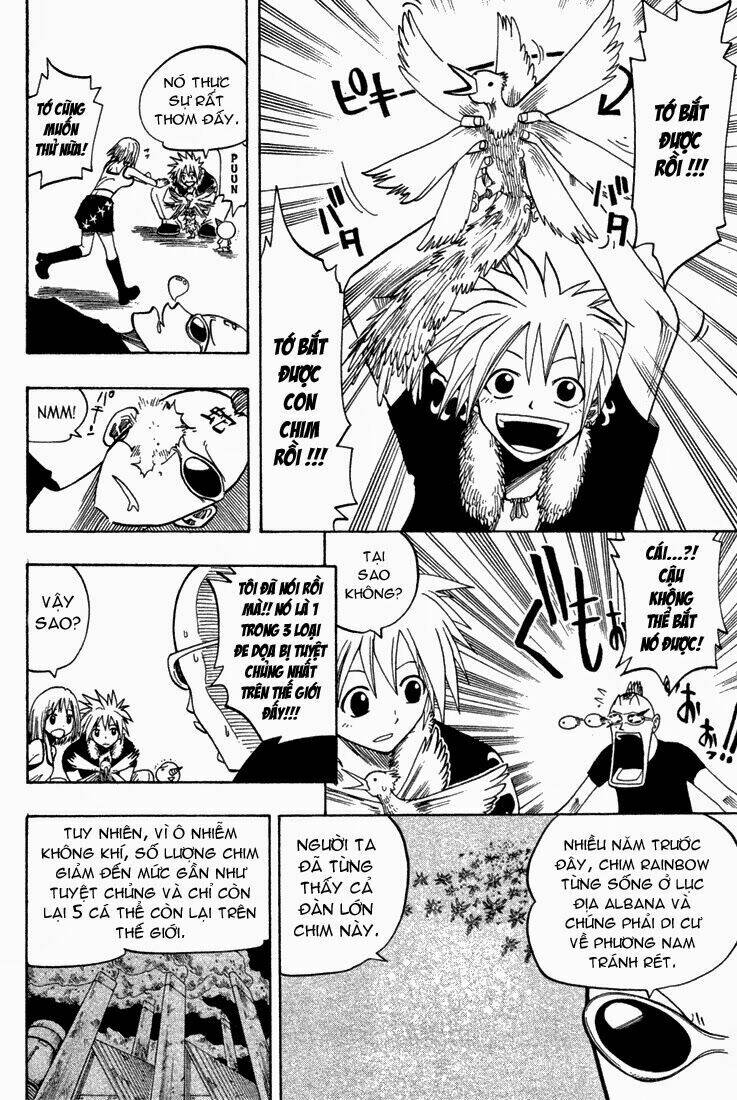 rave-master/9