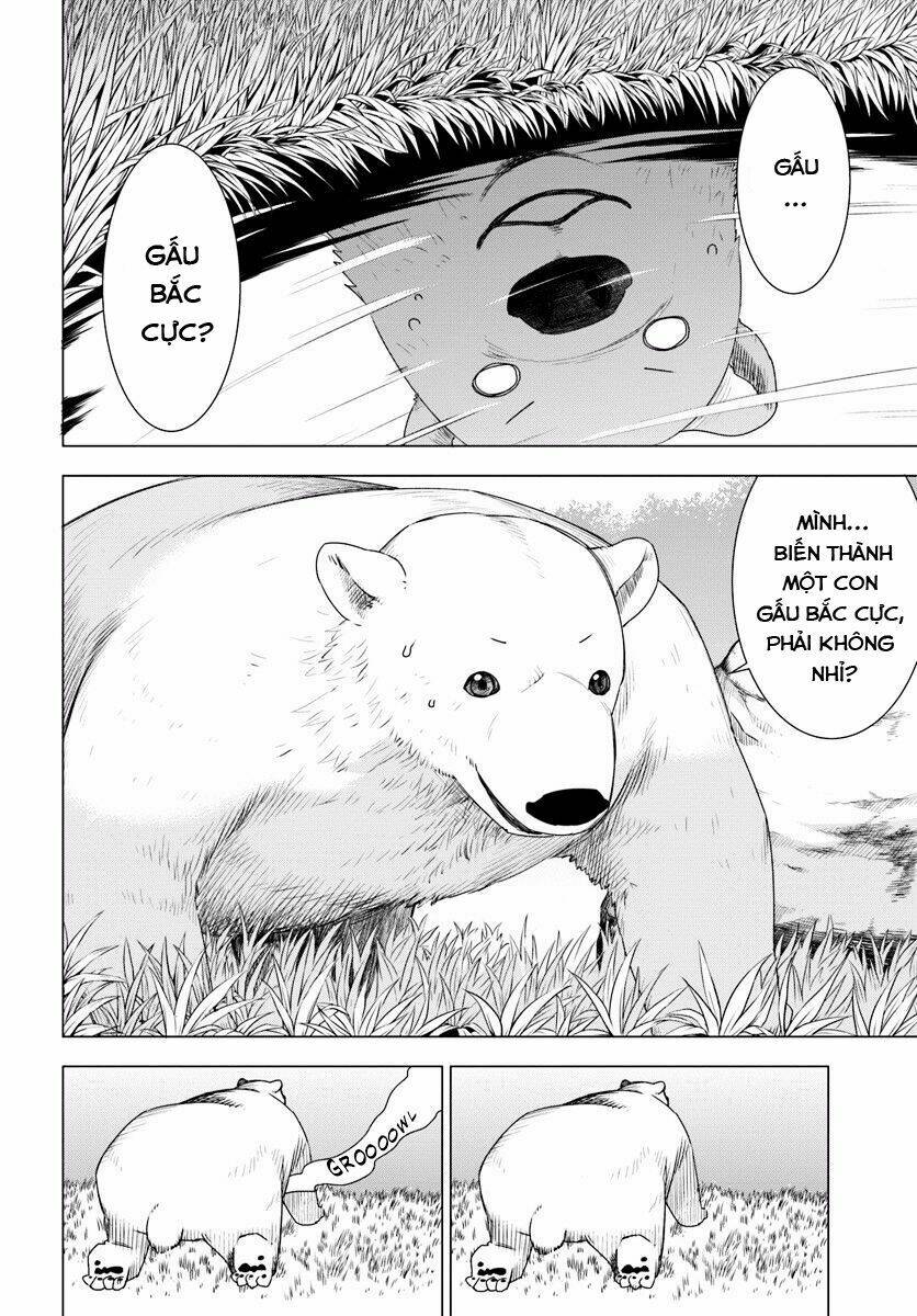 shirokuma-tensei/23