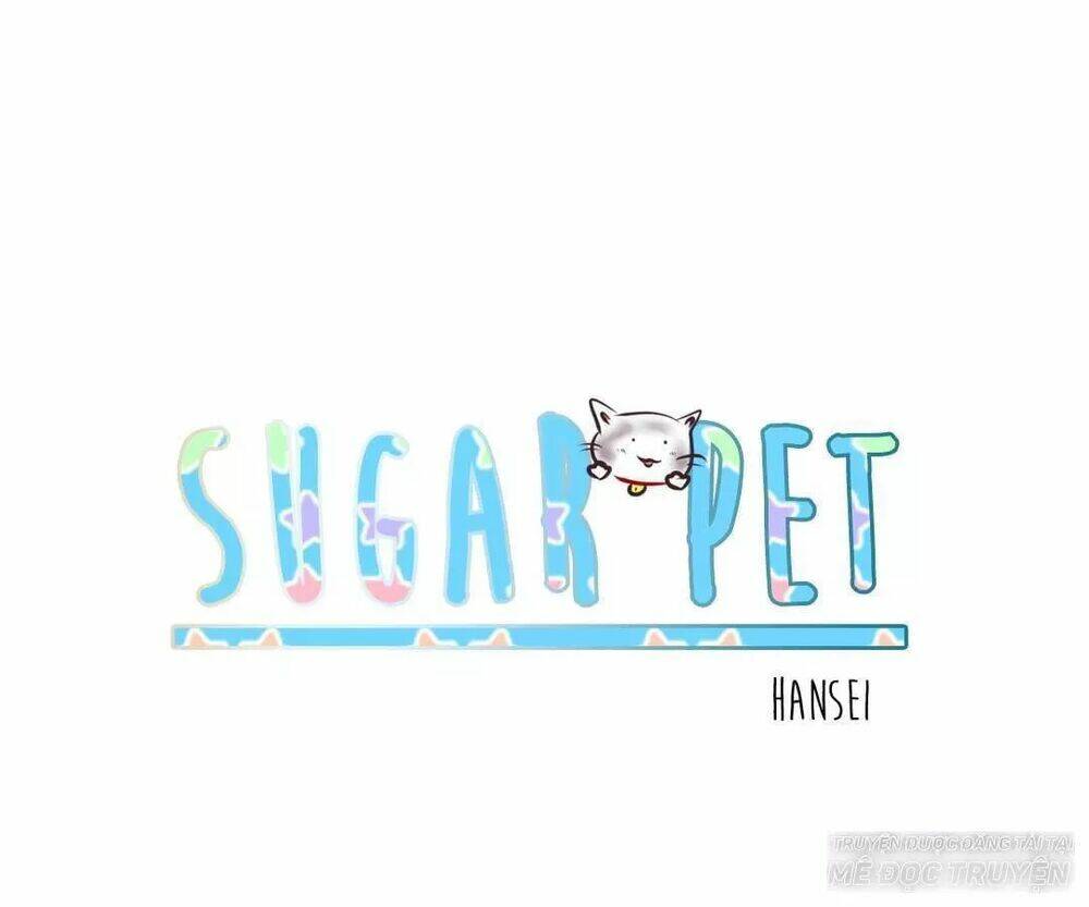 sugar-pet/25