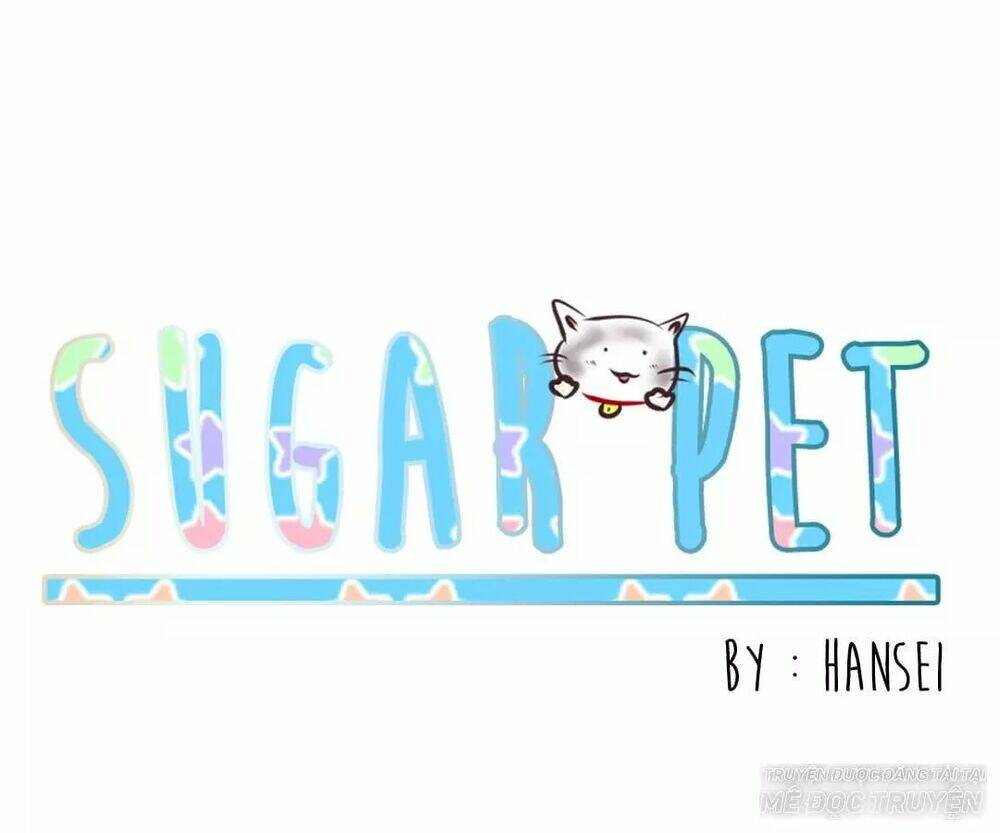 sugar-pet/0