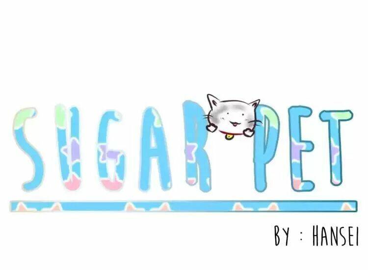 sugar-pet/2