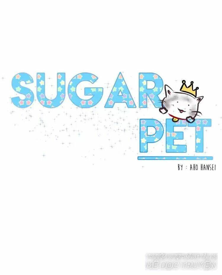 sugar-pet/0