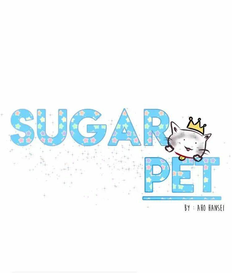 sugar-pet/18