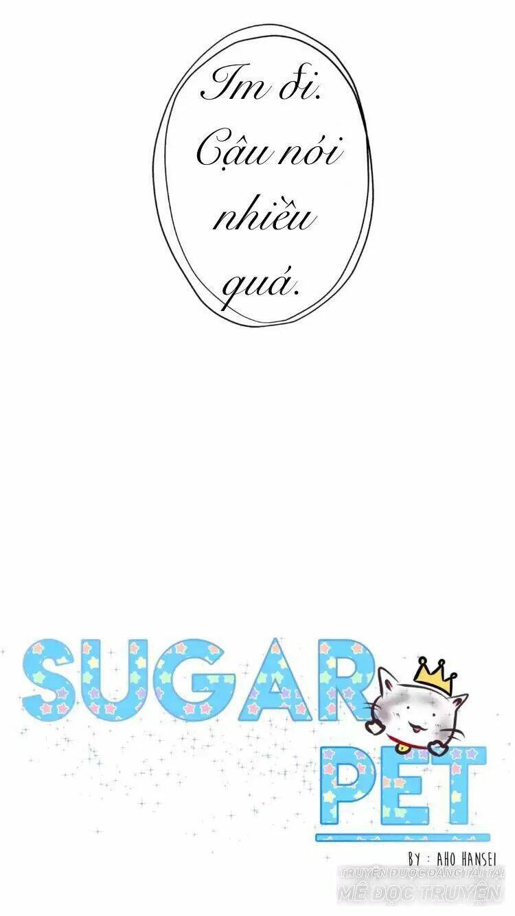 sugar-pet/20