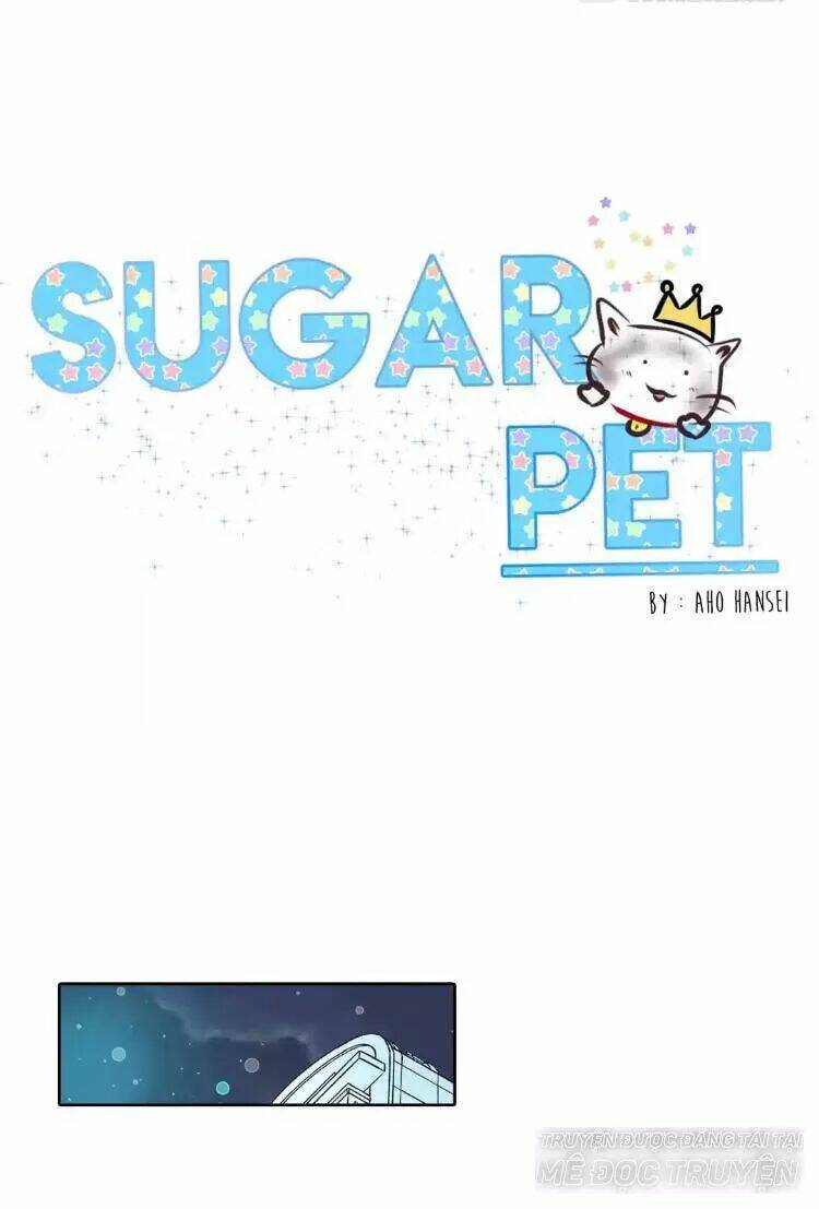 sugar-pet/0