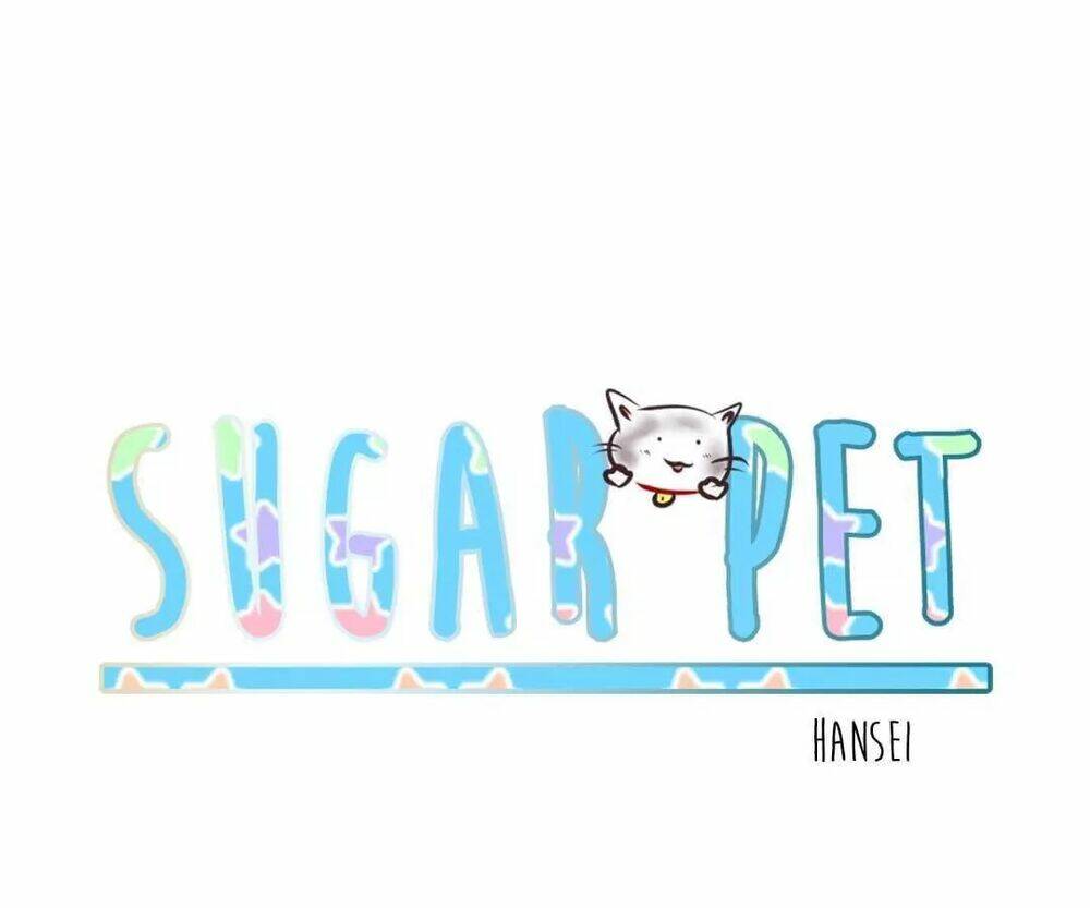 sugar-pet/28