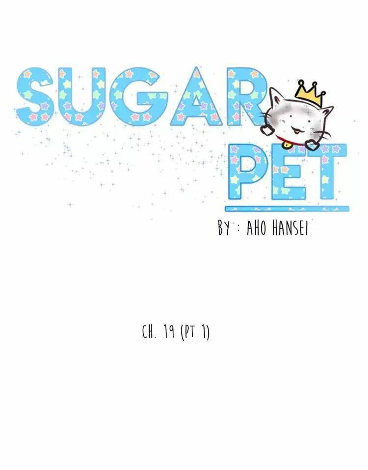 sugar-pet/24