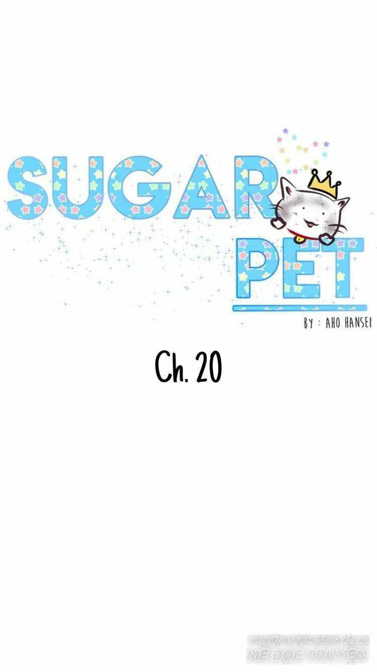 sugar-pet/0