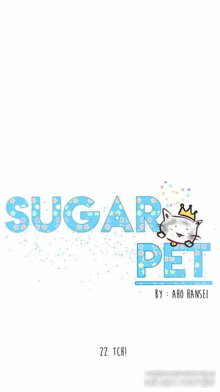 sugar-pet/25