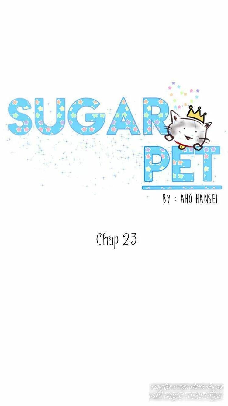 sugar-pet/0