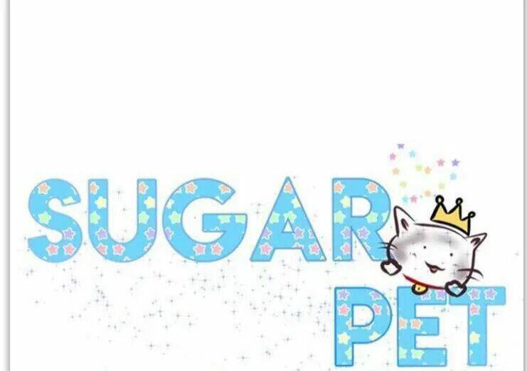 sugar-pet/8