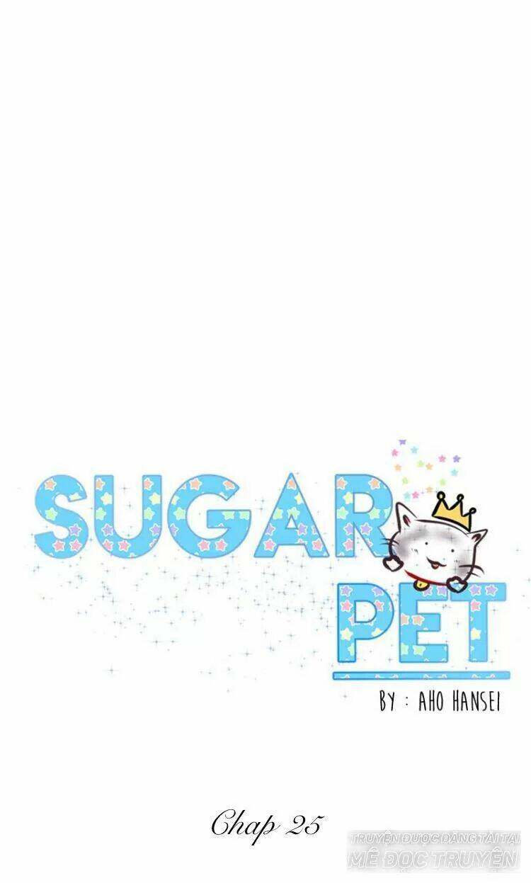 sugar-pet/10