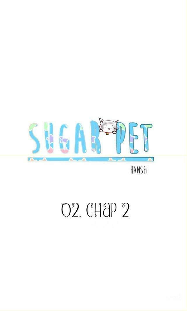 sugar-pet/0