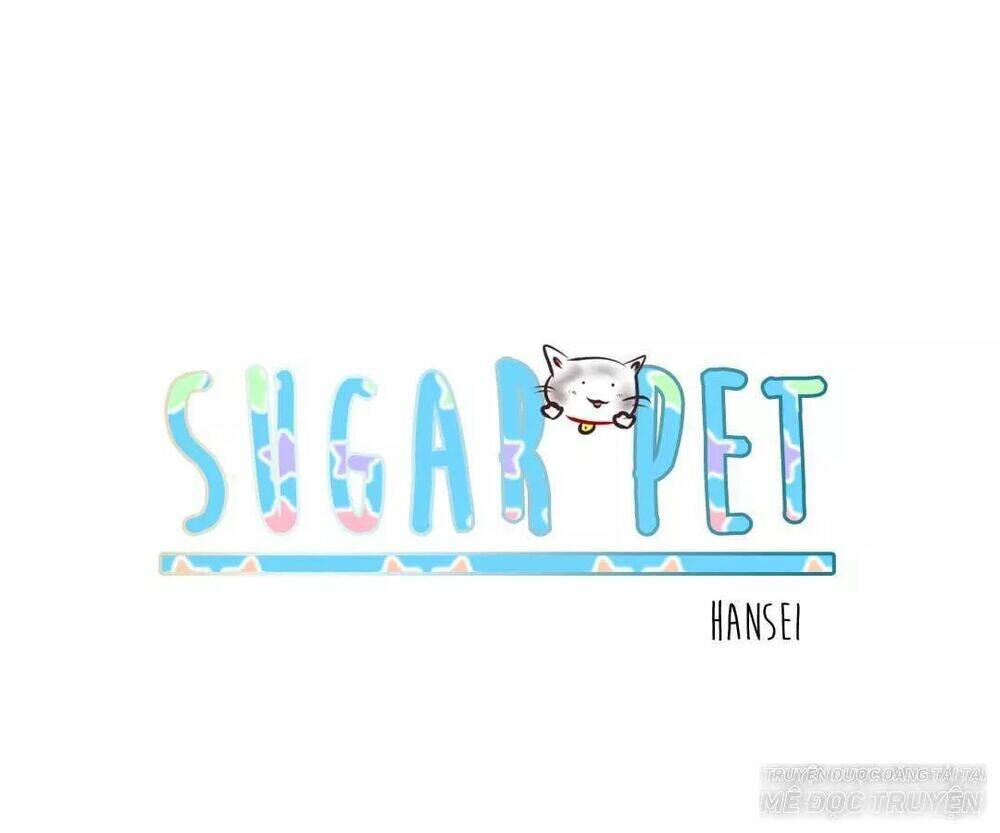 sugar-pet/0