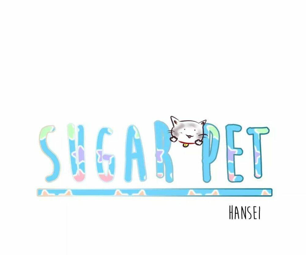 sugar-pet/21