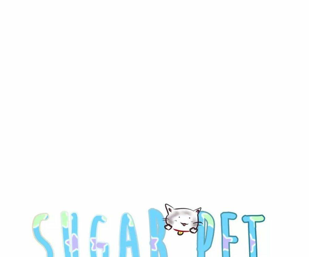 sugar-pet/13