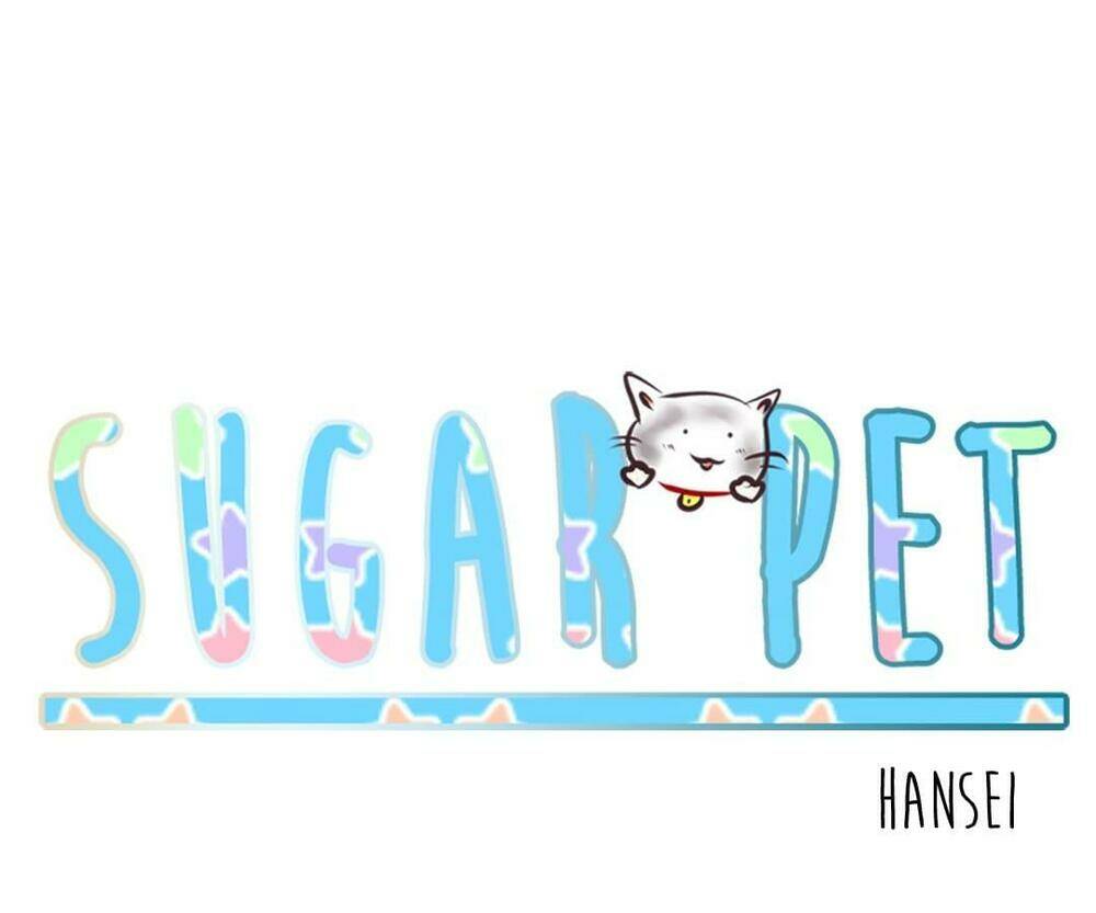 sugar-pet/10