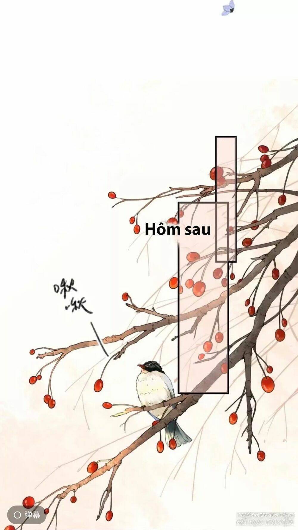 sung-phi-cua-vuong/0