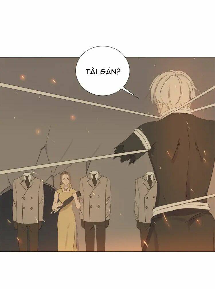 tam-vu/6