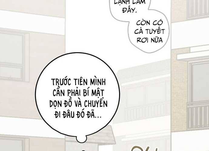 tan-binh-trieu-do/247