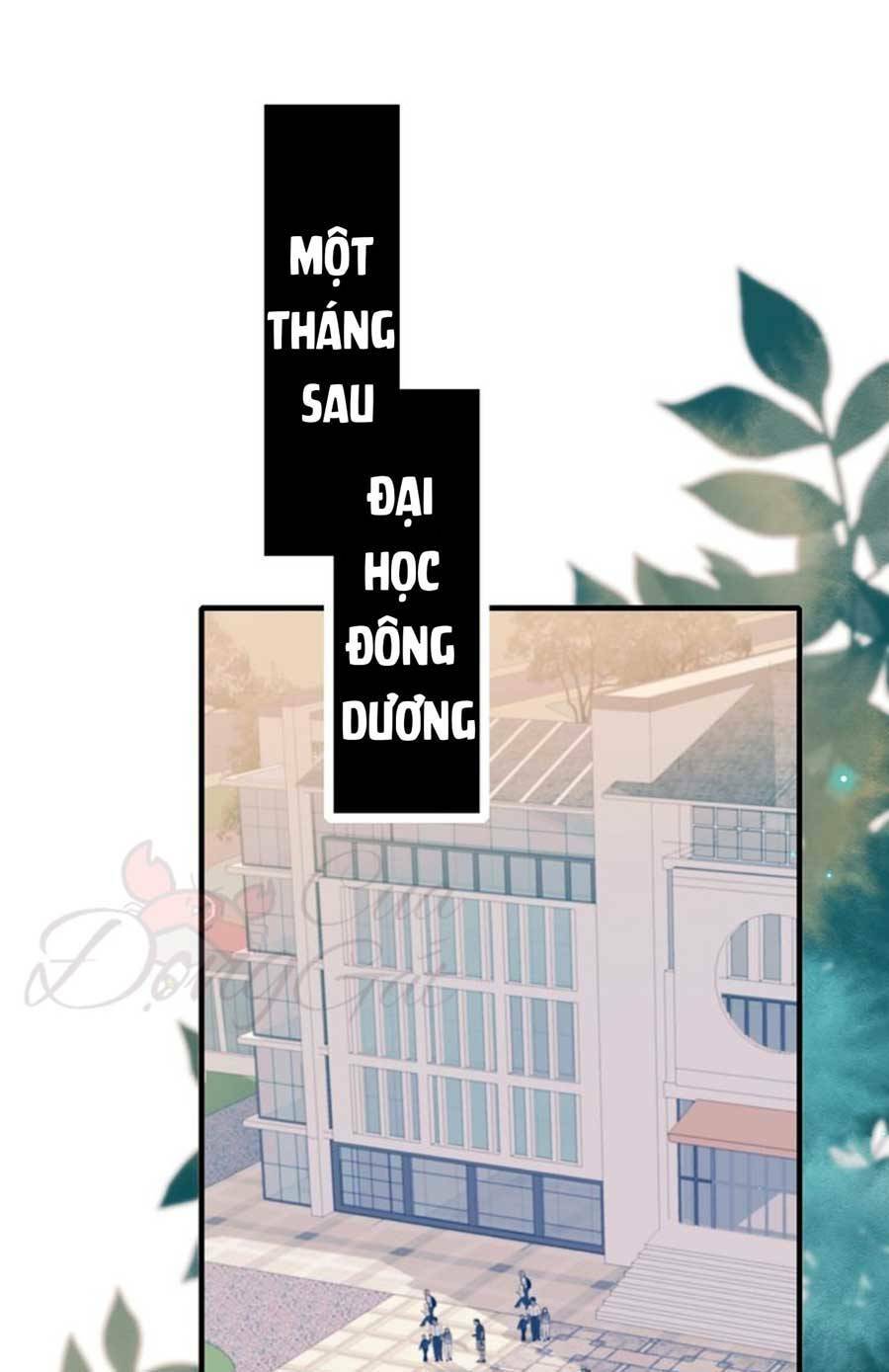 thanh-da-tieu-ha/5