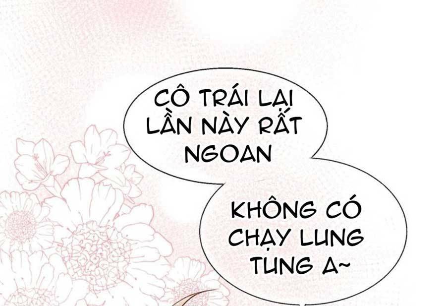 thanh-da-tieu-ha/3