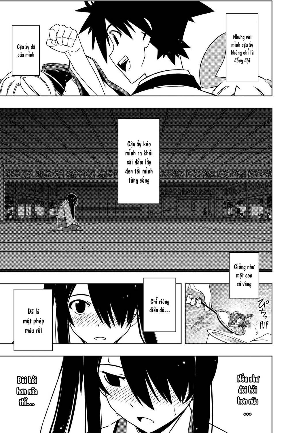 uq-holder/11