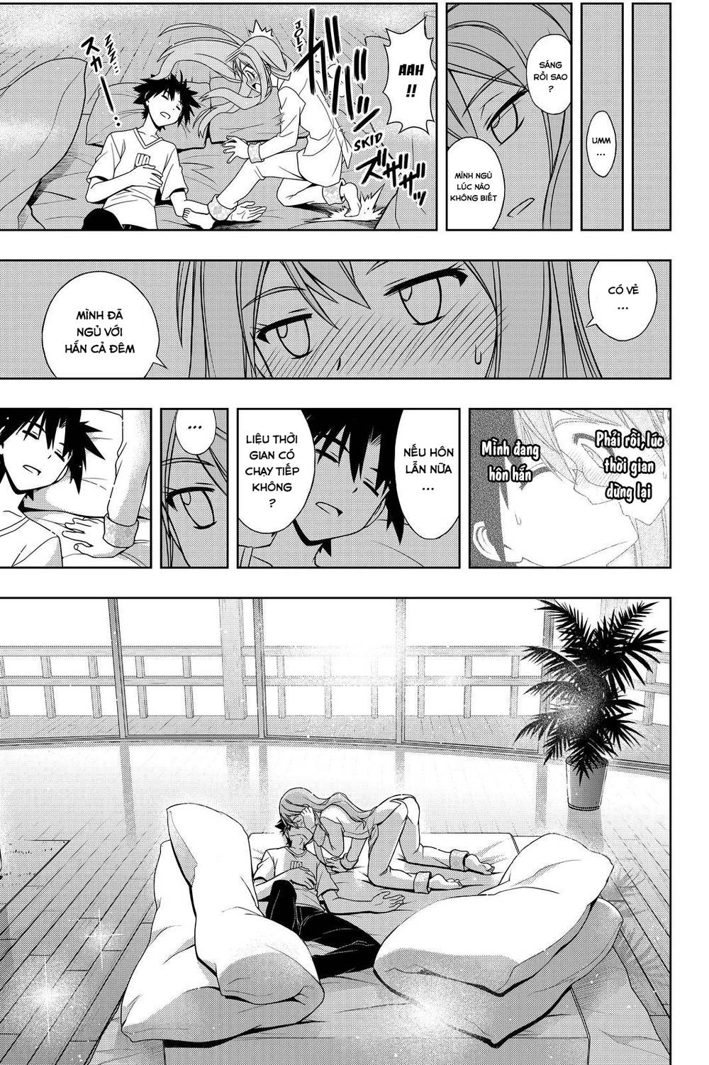 uq-holder/17