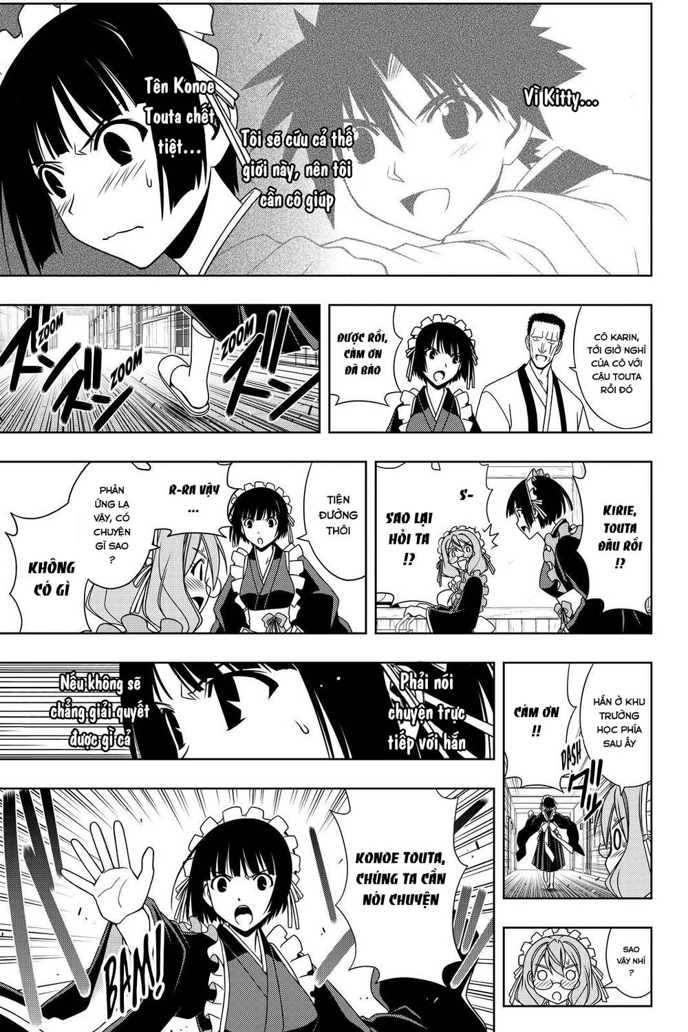 uq-holder/9