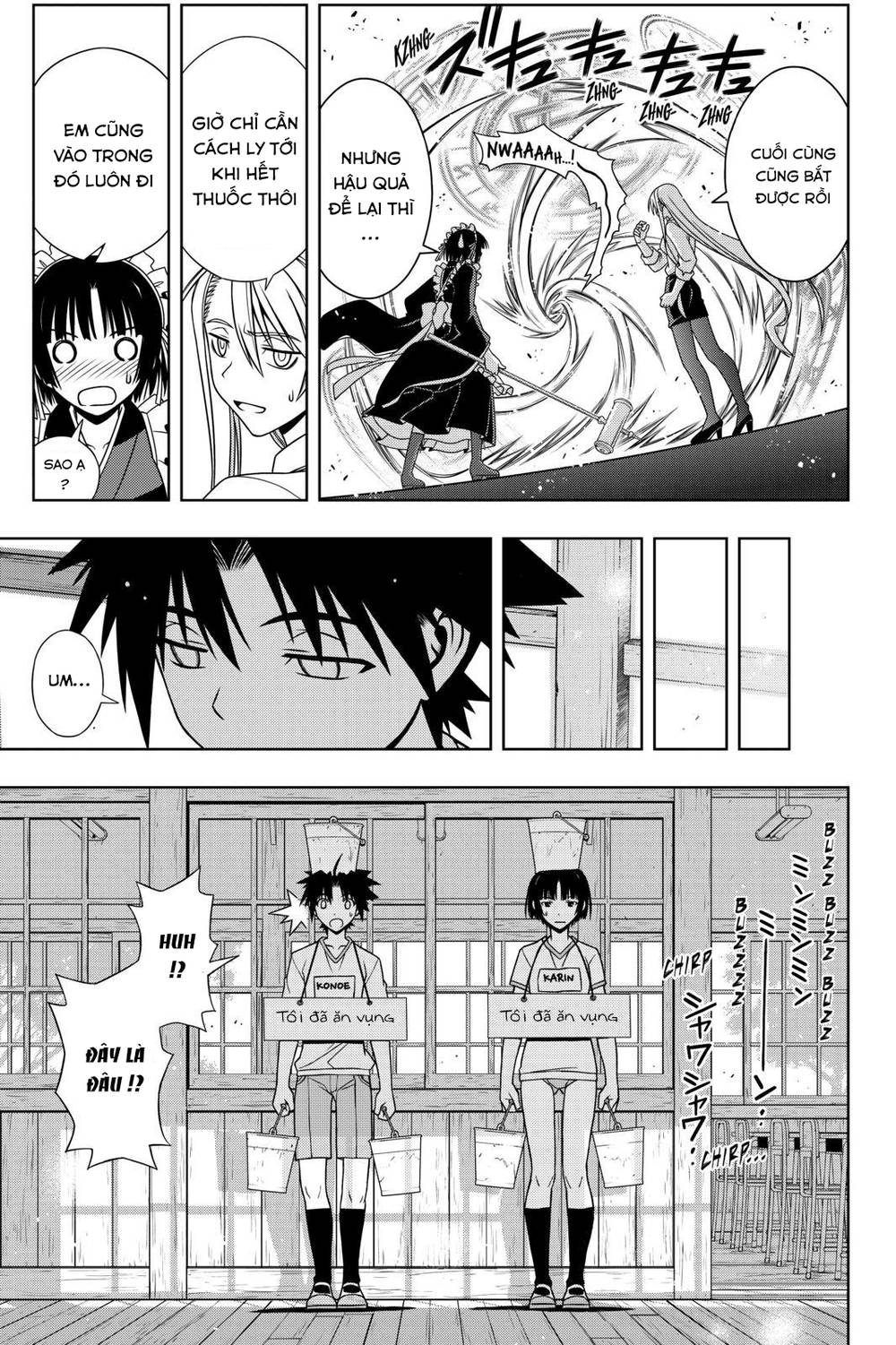 uq-holder/17