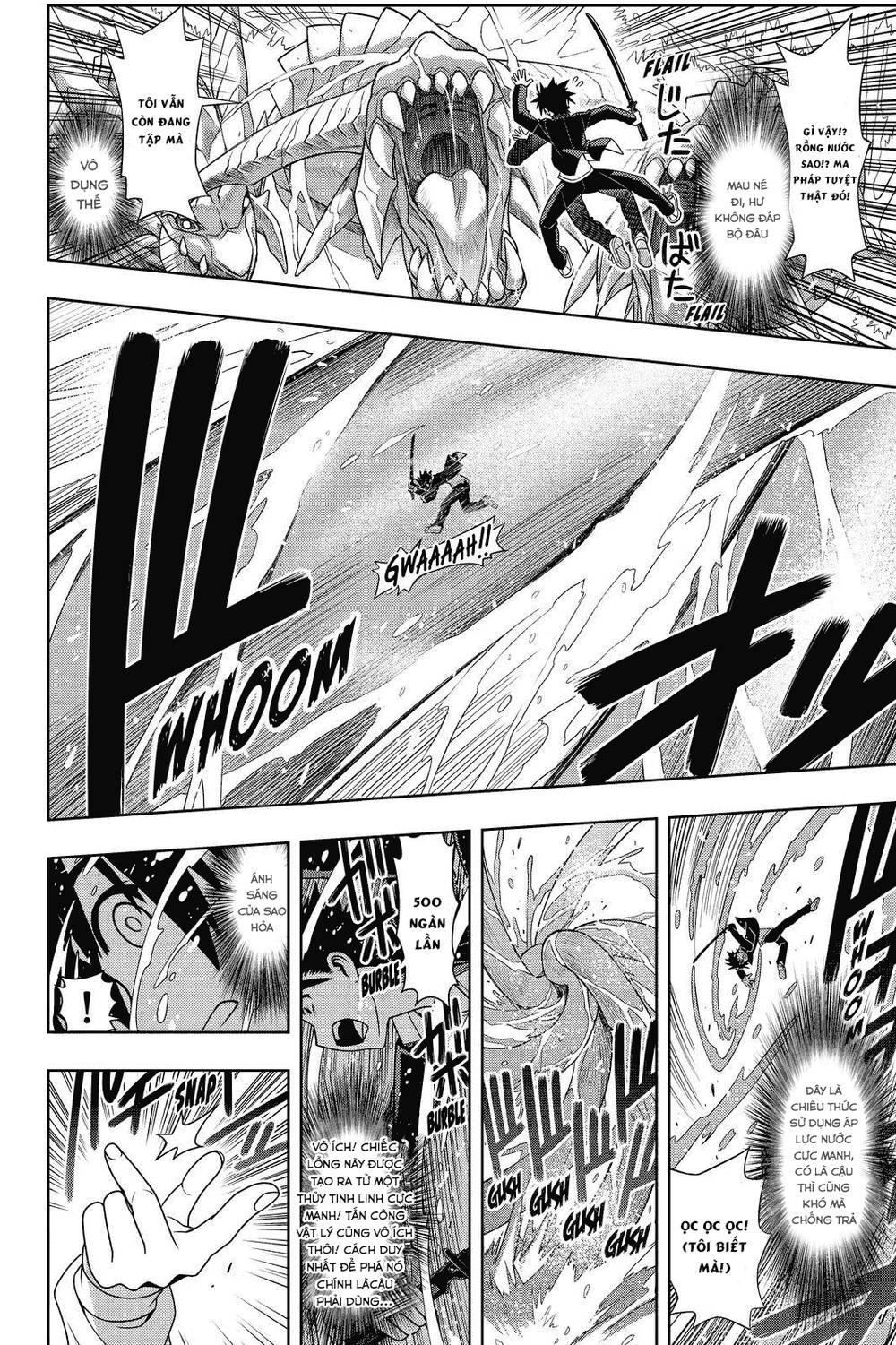 uq-holder/6