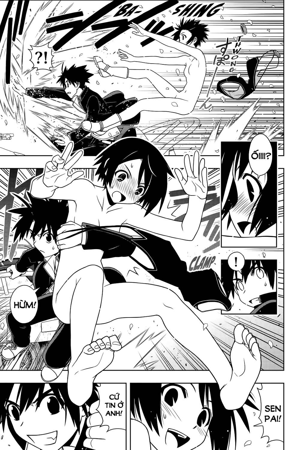 uq-holder/23