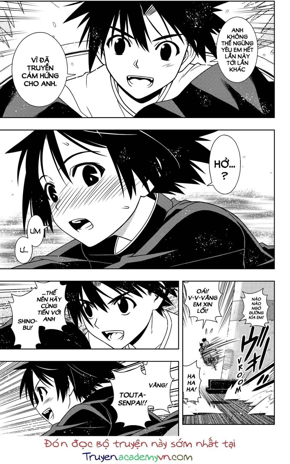 uq-holder/19