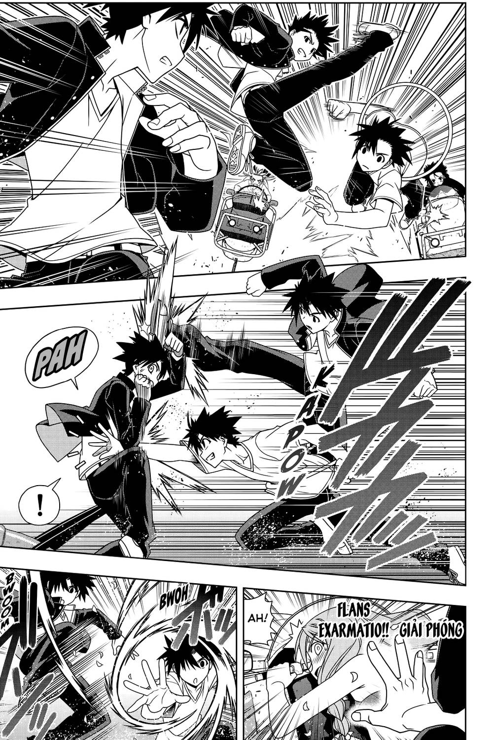 uq-holder/12