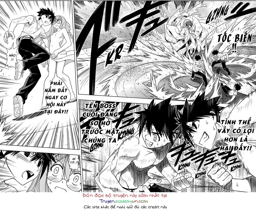 uq-holder/11