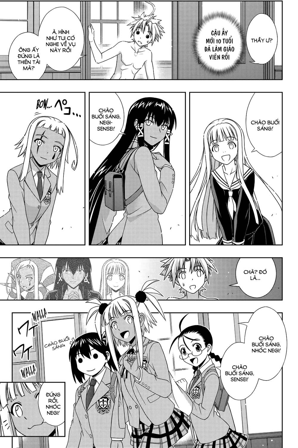 uq-holder/14