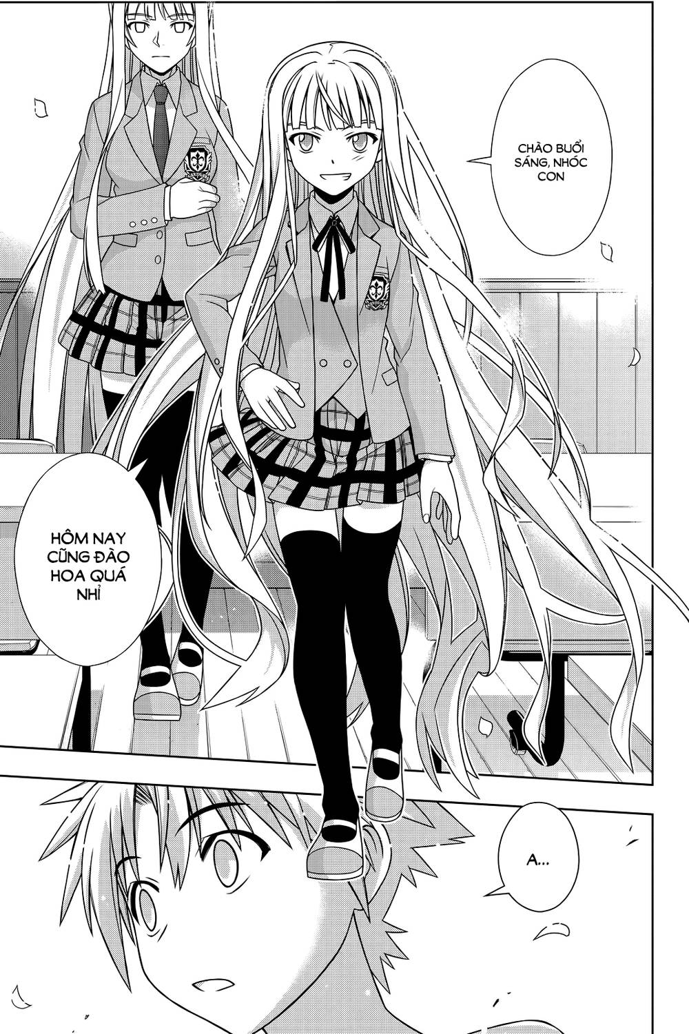 uq-holder/20