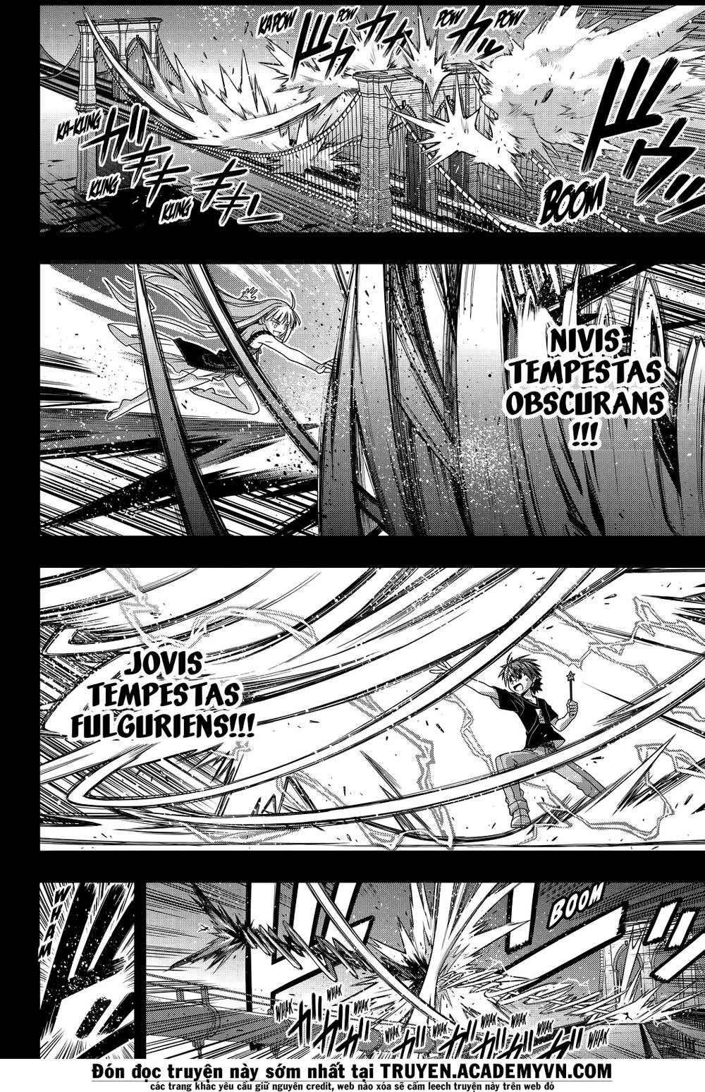 uq-holder/41