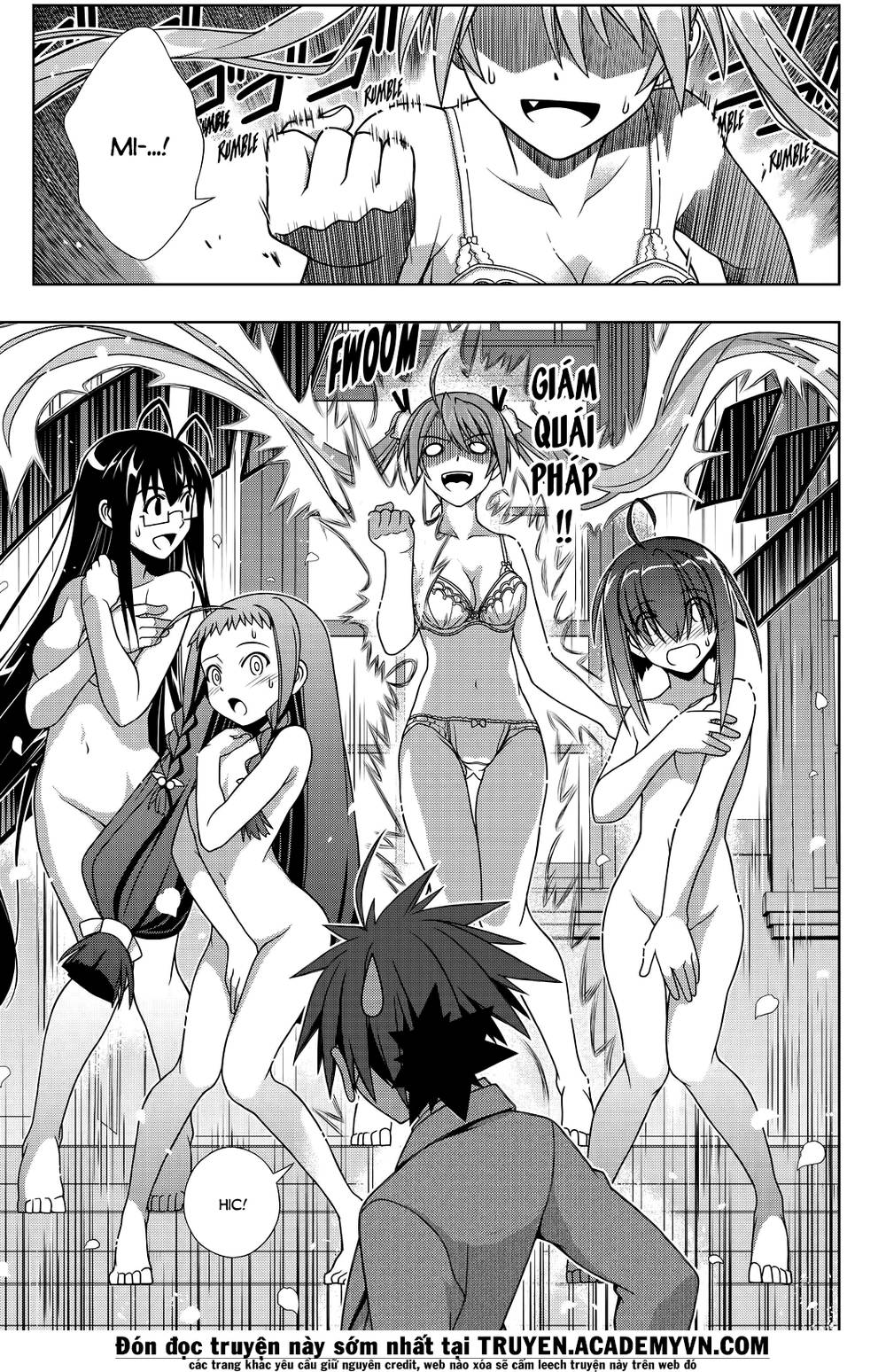 uq-holder/7