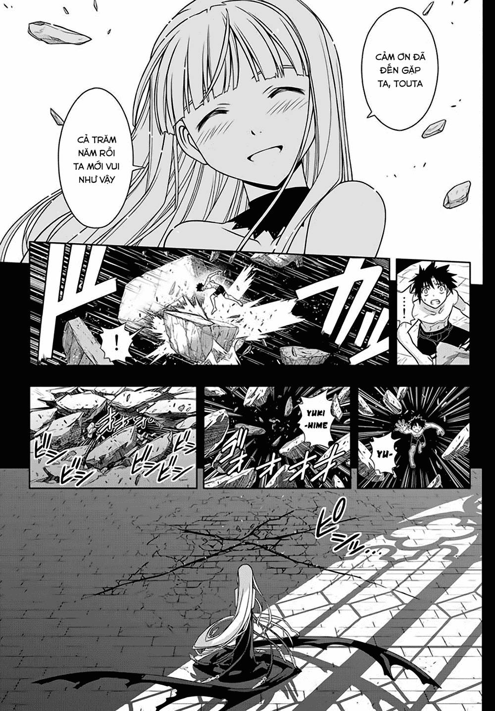 uq-holder/3