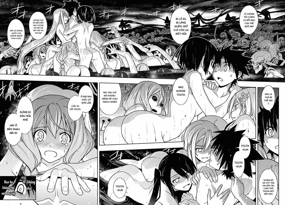 uq-holder/32