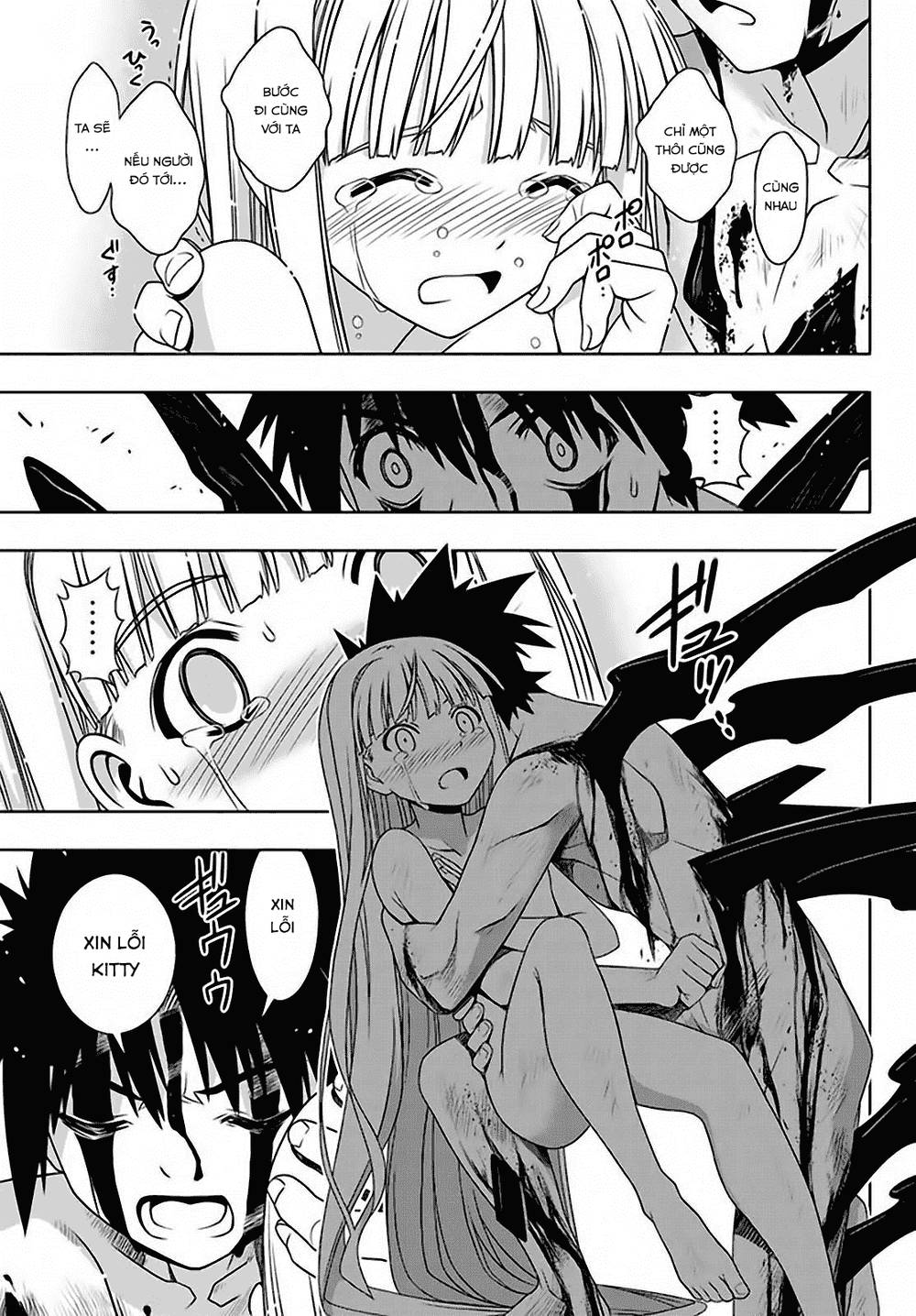 uq-holder/7